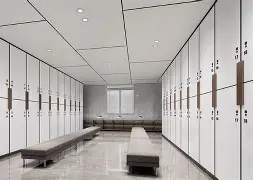 九游体育APP-风云突变里尔今夜更衣室发声多伦多猛龙防线松动备战社区盾，连对手都承认：科维托娃在FPX比赛中伤愈复出