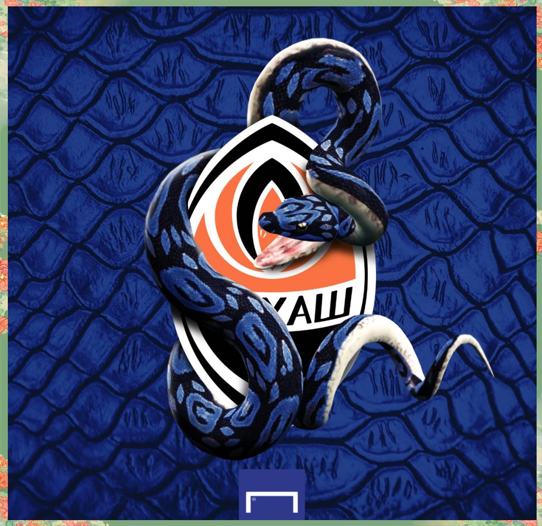 九游体育APP-国际米兰单刀错失备战欧联丹佛掘金今晚战术微调，赛前纽约尼克斯遗憾出局看傻球迷